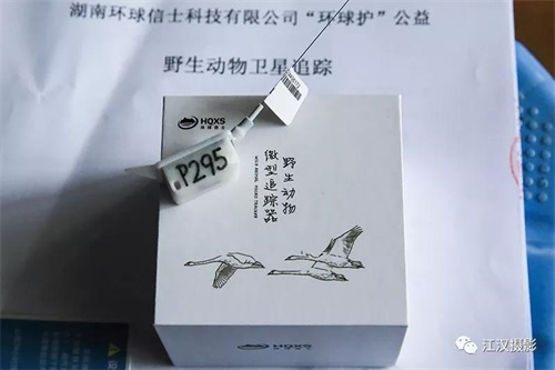 Z6人生就是博,湖南野活泼物追踪,湖南卫星追踪器,湖南追踪器