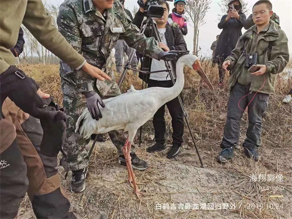 Z6人生就是博,湖南野活泼物追踪,湖南卫星追踪器,湖南追踪器