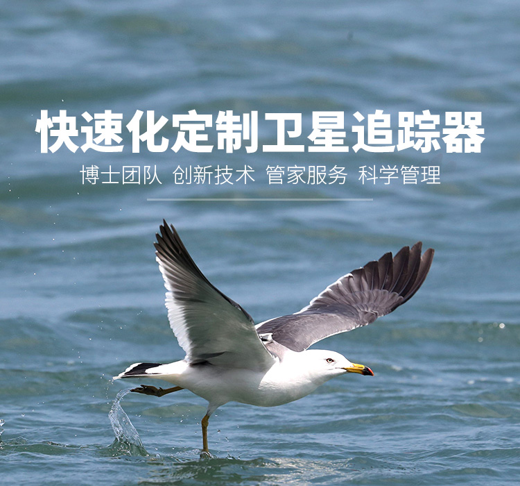 Z6人生就是博_湖南野活泼物追踪|湖南卫星追踪器