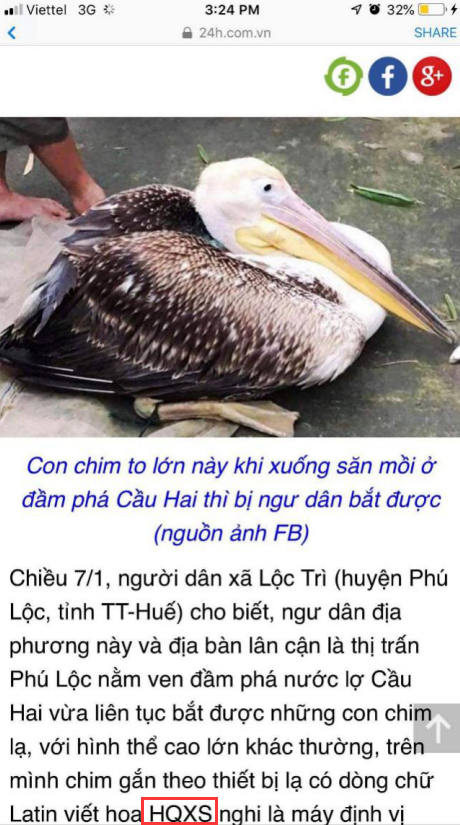 Z6人生就是博,湖南野活泼物追踪,湖南卫星追踪器,湖南追踪器