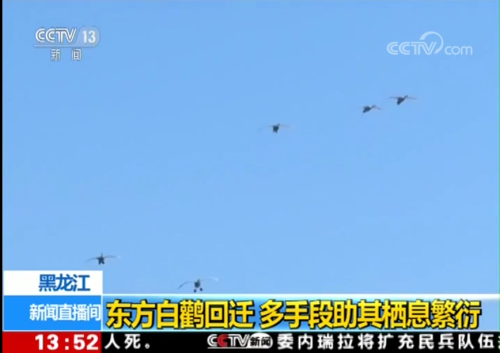 Z6人生就是博,湖南野活泼物追踪,湖南卫星追踪器,湖南追踪器