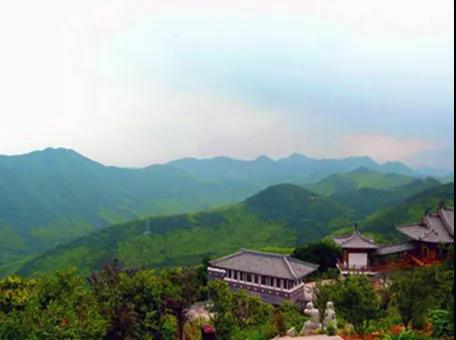 攸县兴林油茶,油茶苗,油茶果,轻基质杯苗,裸根苗,油茶苗价值,油茶苗批发,油茶苗基地