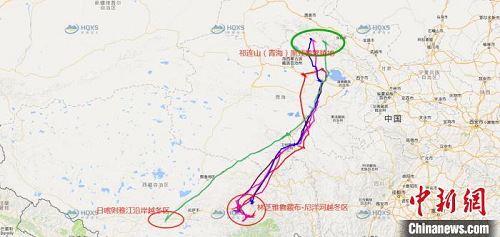 Z6人生就是博,湖南野活泼物追踪,湖南卫星追踪器,湖南追踪器