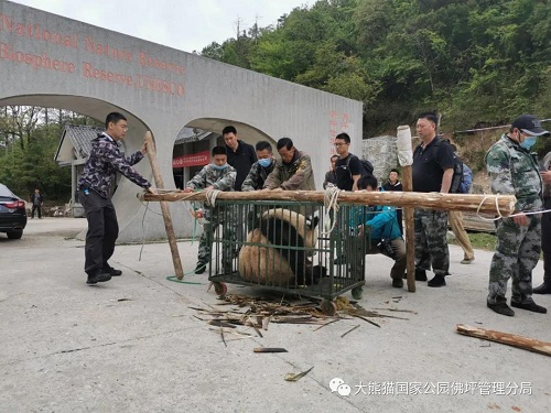 Z6人生就是博,湖南野活泼物追踪,湖南卫星追踪器,湖南追踪器