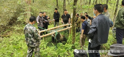 Z6人生就是博,湖南野活泼物追踪,湖南卫星追踪器,湖南追踪器