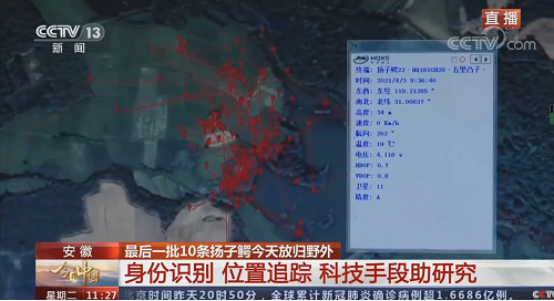 Z6人生就是博,湖南野活泼物追踪,湖南卫星追踪器,湖南追踪器