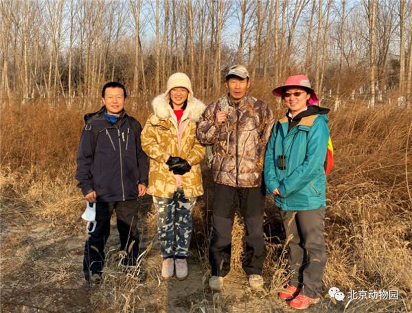 Z6人生就是博,湖南野活泼物追踪,湖南卫星追踪器,湖南追踪器