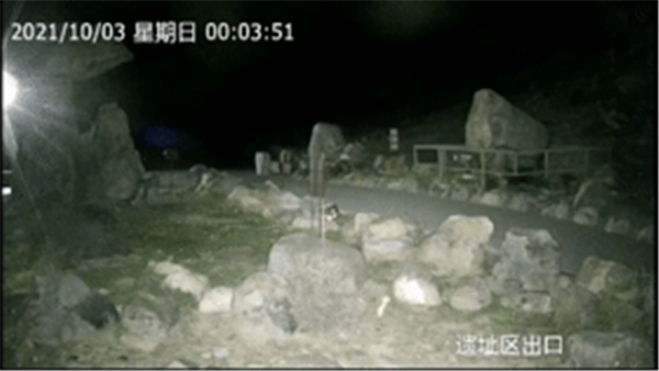 Z6人生就是博,湖南野活泼物追踪,湖南卫星追踪器,湖南追踪器