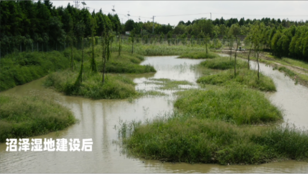 Z6人生就是博,湖南野活泼物追踪,湖南卫星追踪器,湖南追踪器