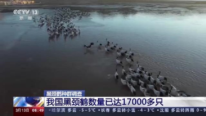 Z6人生就是博,湖南野活泼物追踪,湖南卫星追踪器,湖南追踪器