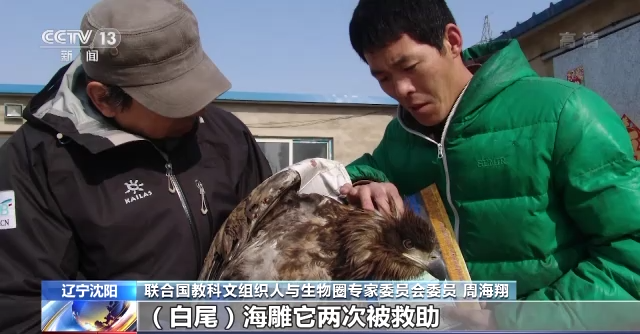 Z6人生就是博,湖南野活泼物追踪,湖南卫星追踪器,湖南追踪器