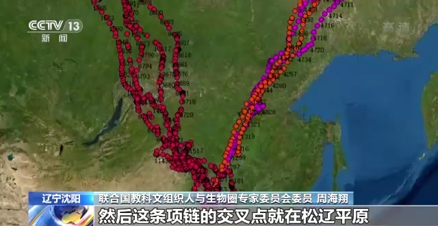 Z6人生就是博,湖南野活泼物追踪,湖南卫星追踪器,湖南追踪器