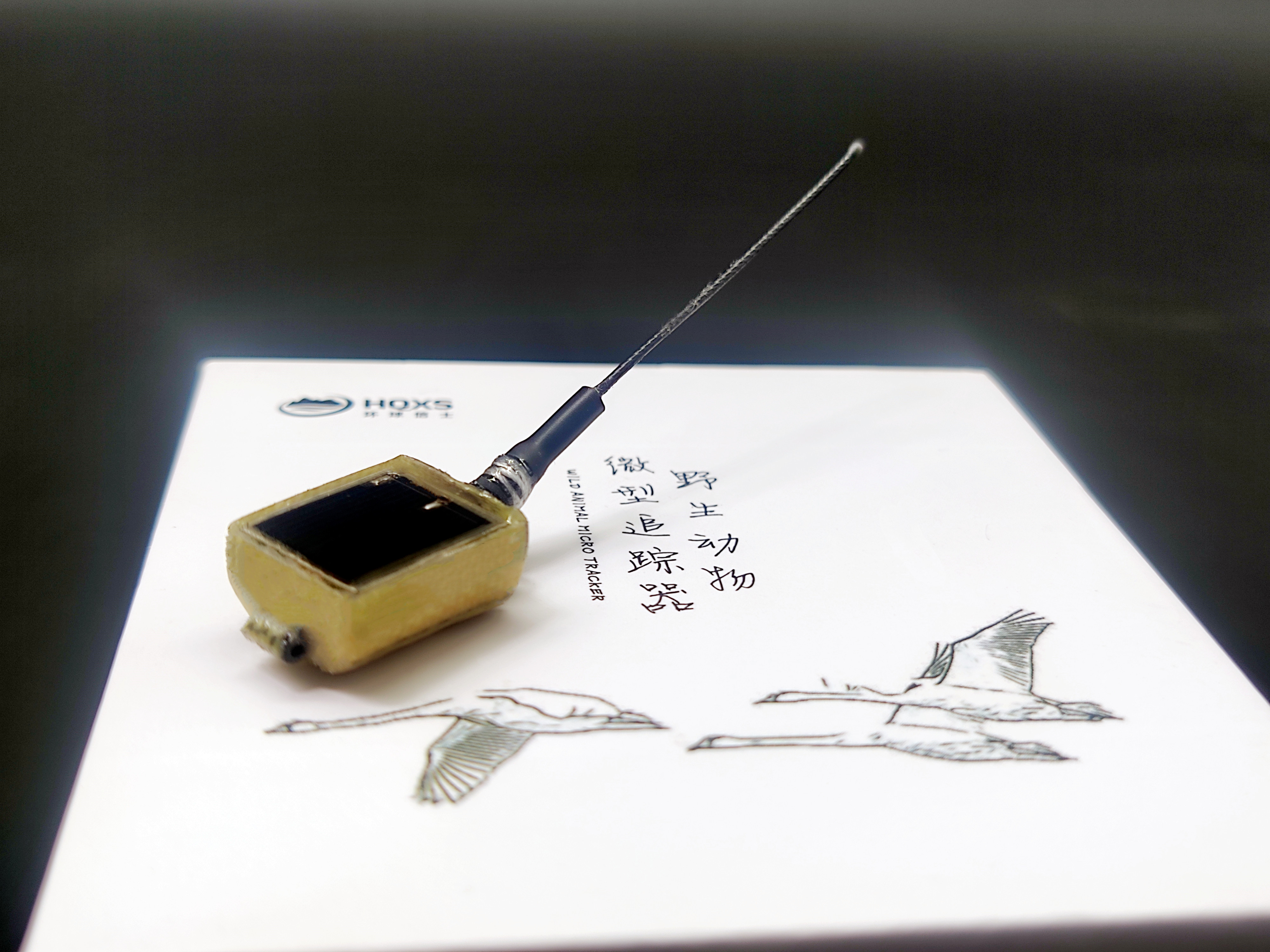 Z6人生就是博,湖南野活泼物追踪,湖南卫星追踪器,湖南追踪器