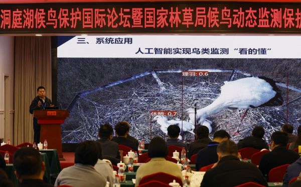 Z6人生就是博,湖南野活泼物追踪,湖南卫星追踪器,湖南追踪器