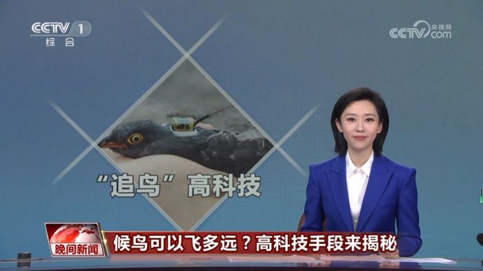 Z6人生就是博,湖南野活泼物追踪,湖南卫星追踪器,湖南追踪器