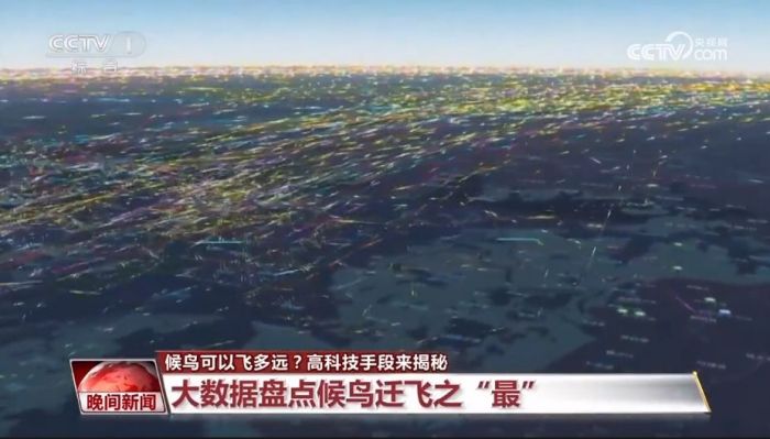 Z6人生就是博,湖南野活泼物追踪,湖南卫星追踪器,湖南追踪器