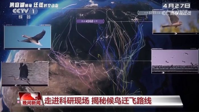 Z6人生就是博,湖南野活泼物追踪,湖南卫星追踪器,湖南追踪器