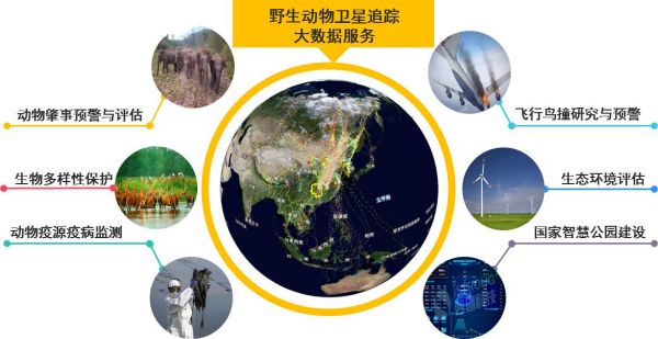 Z6人生就是博,湖南野活泼物追踪,湖南卫星追踪器,湖南追踪器