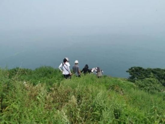 Z6人生就是博,湖南野活泼物追踪,湖南卫星追踪器,湖南追踪器