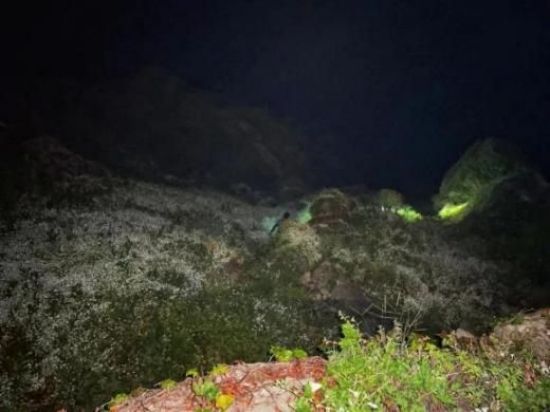 Z6人生就是博,湖南野活泼物追踪,湖南卫星追踪器,湖南追踪器