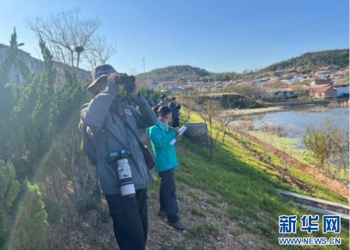 Z6人生就是博,湖南野活泼物追踪,湖南卫星追踪器,湖南追踪器