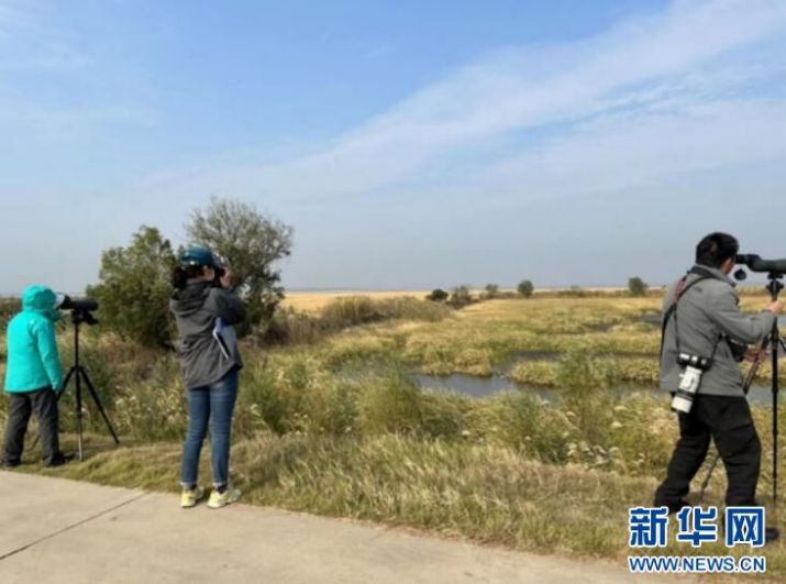 Z6人生就是博,湖南野活泼物追踪,湖南卫星追踪器,湖南追踪器