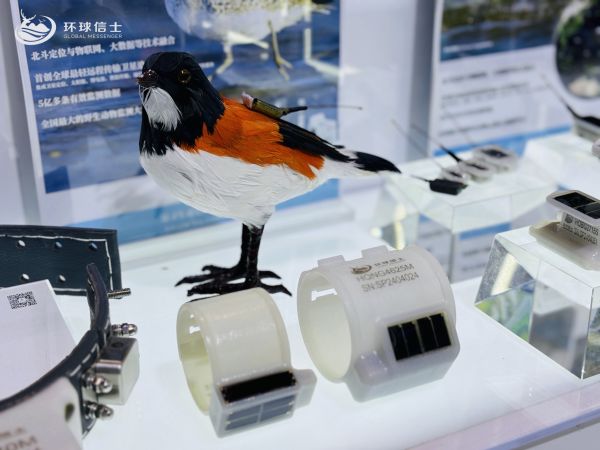 Z6人生就是博,湖南野活泼物追踪,湖南卫星追踪器,湖南追踪器