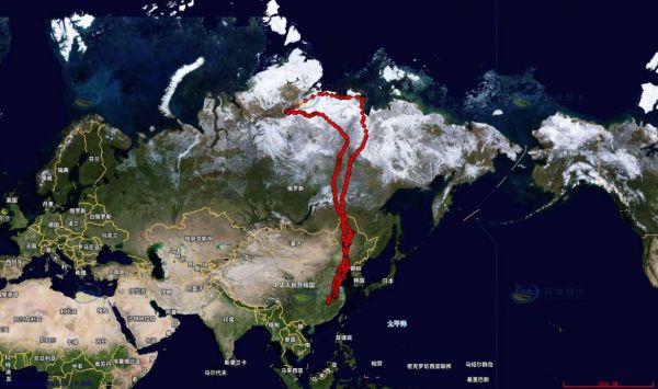 Z6人生就是博,湖南野活泼物追踪,湖南卫星追踪器,湖南追踪器