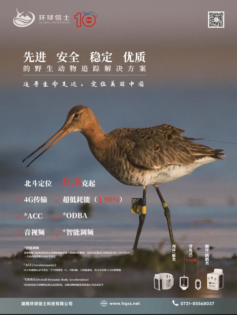 Z6人生就是博,湖南野活泼物追踪,湖南卫星追踪器,湖南追踪器
