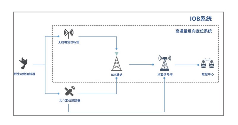 Z6人生就是博,湖南野活泼物追踪,湖南卫星追踪器,湖南追踪器