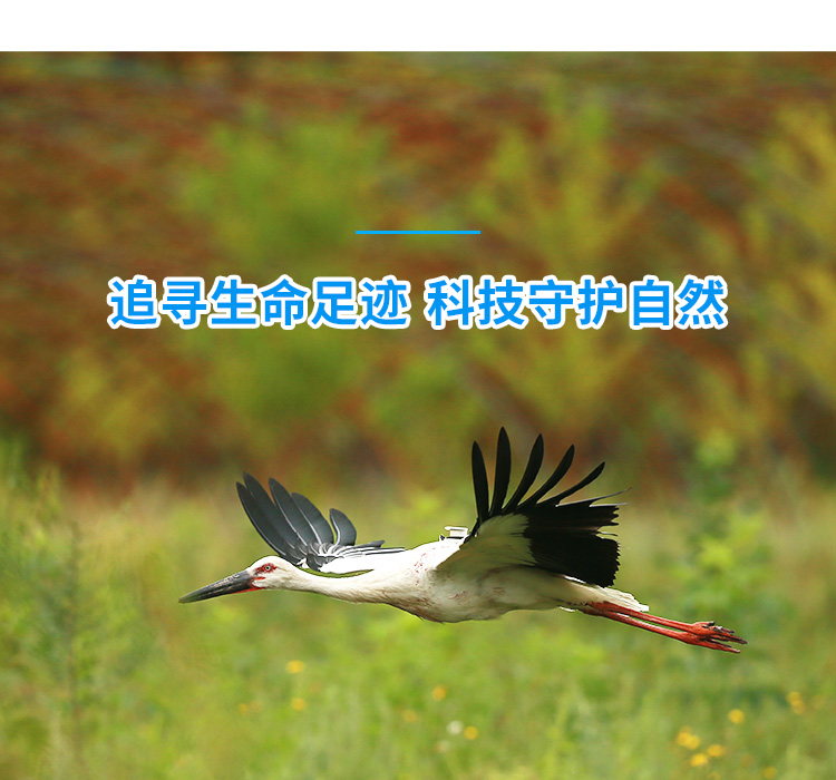 Z6人生就是博_湖南野活泼物追踪|湖南卫星追踪器